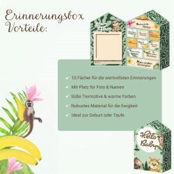 Babybox "Haus"  10 Fächer, Pappe - TT14306