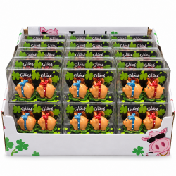 24x 2er Set Glücksschwein 3x4x5cm, Schleife, Kunststoff, PET-Box,24 er Displaybox