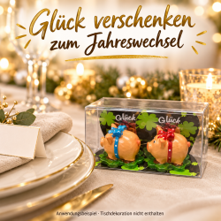 24x 2er Set Glücksschwein 3x4x5cm, Schleife, Kunststoff, PET-Box,24 er Displaybox
