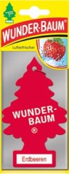 Wunderbaum Erdbeere 1er Karte - 201419 - Karton 24 St. -...