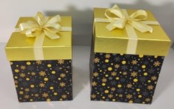 Premium Geschenkboxen Set 2-teilig, mit Schleife, Design:...