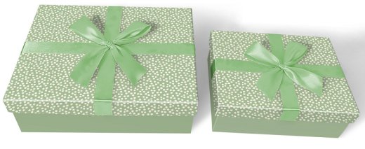 S/2 Geschenkbox, rechteckig, mit Schleifenband,
"Grüne Illusion"