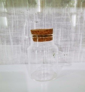 Borosilikat Glas mit Korkstopfen, 6 Stück im Papptray, 6x9.5cm